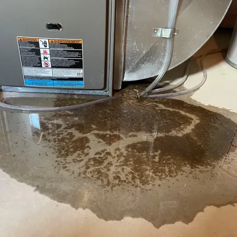 Appliance Leak Cleanup in Morganton, NC